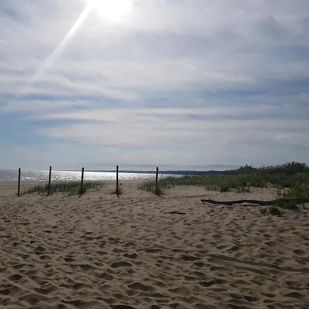 Morskie Opowieści * Mikoszewo