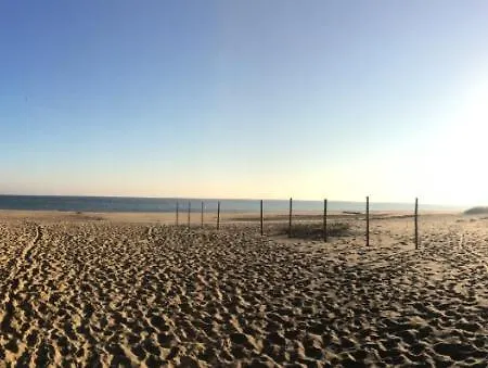 Morskie Opowiesci Mikoszewo