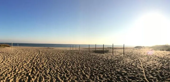 Morskie Opowiesci Mikoszewo