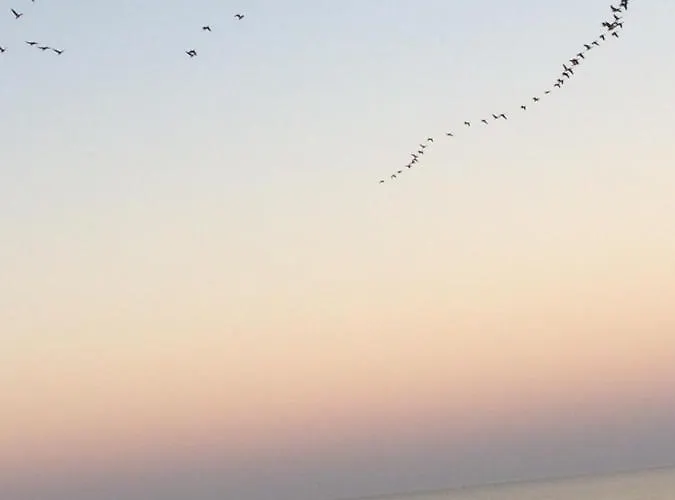 Morskie Opowiesci Apartman